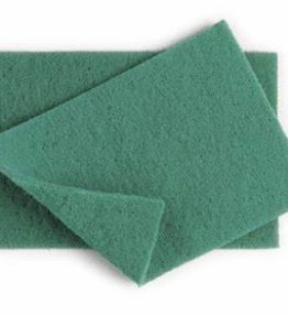 Large Green Scourers (x10)